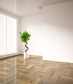 WoodSol görseli