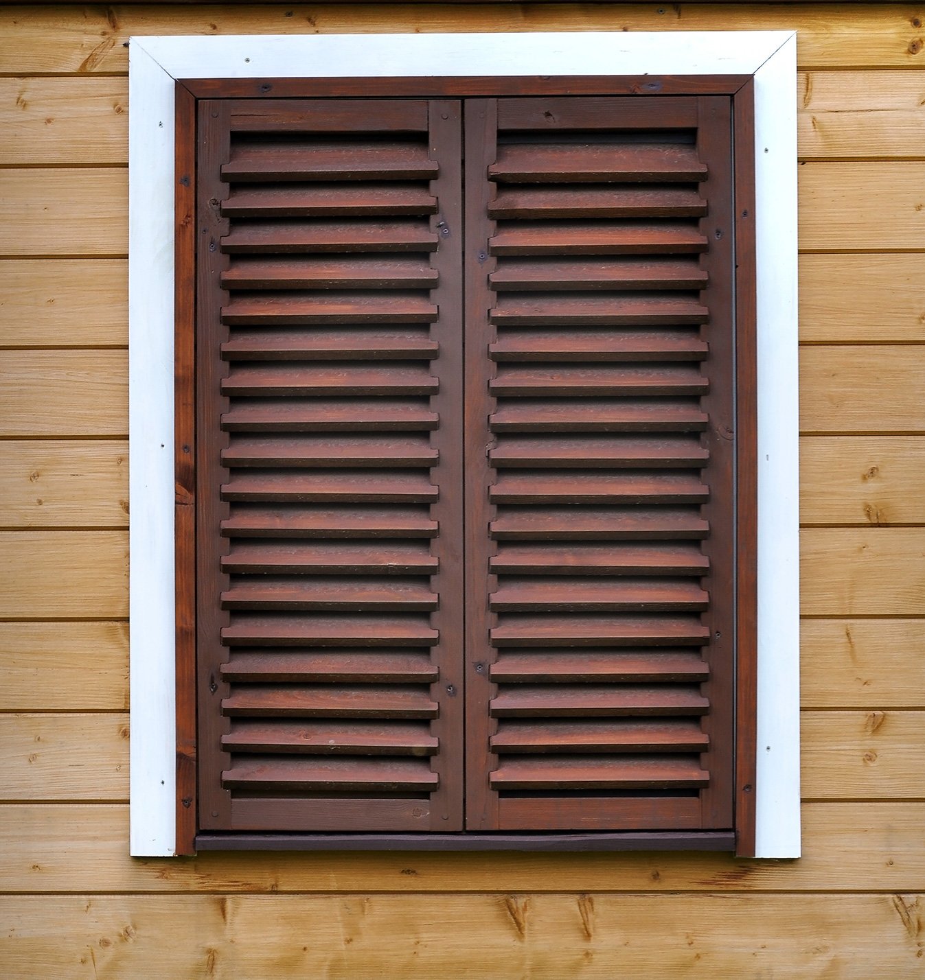 Lg-445 Su Bazlı Renkli Astar | Woodsol.com.tr görseli